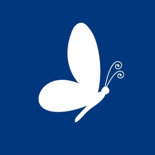 cropped steerskills logo.jpg